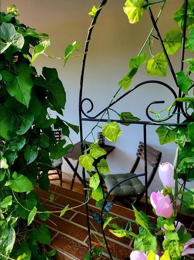 Seeoase In Muhr Am See Inkl Fruehstueck Appartement